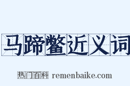 马蹄鳖近义词是什么意思的图片